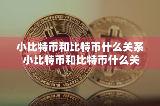 小比特币和比特币什么关系 小比特币和比特币什么关系啊