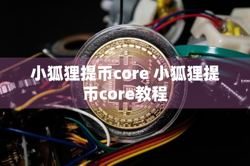 小狐狸提币core 小狐狸提币core教程