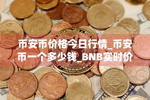 币安币价格今日行情_币安币一个多少钱_BNB实时价格_20240802