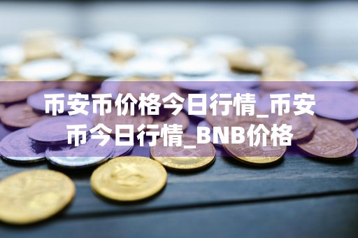 币安币价格今日行情_币安币今日行情_BNB价格