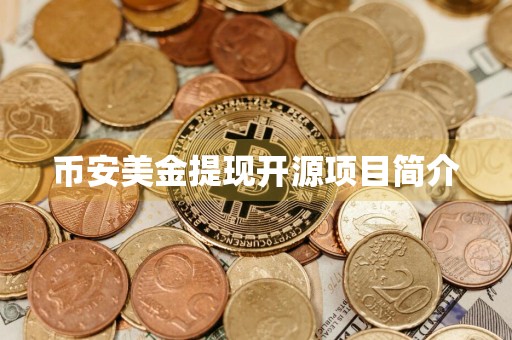币安美金提现开源项目简介