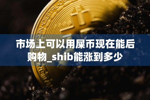 市场上可以用屎币现在能后购物_shib能涨到多少