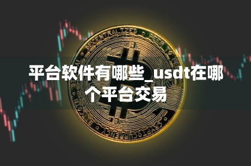 平台软件有哪些_usdt在哪个平台交易