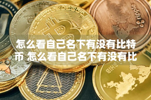 怎么看自己名下有没有比特币 怎么看自己名下有没有比特币交易