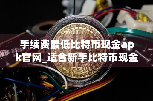 手续费最低比特币现金apk官网_适合新手比特币现金apk权威榜单