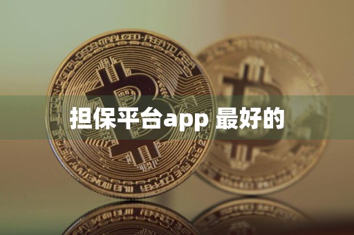 担保平台app 最好的