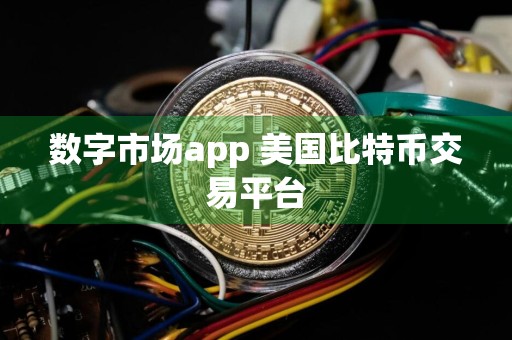 数字市场app 美国比特币交易平台