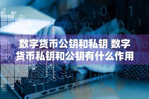 数字货币公钥和私钥 数字货币私钥和公钥有什么作用