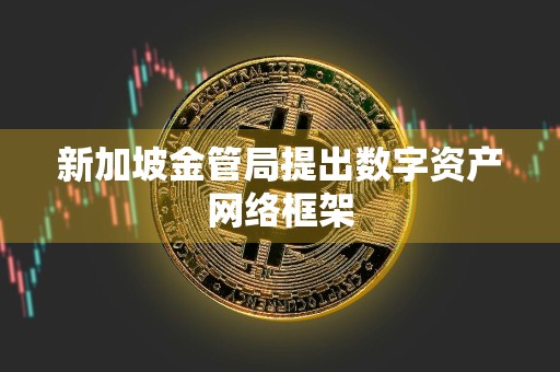 新加坡金管局提出数字资产网络框架