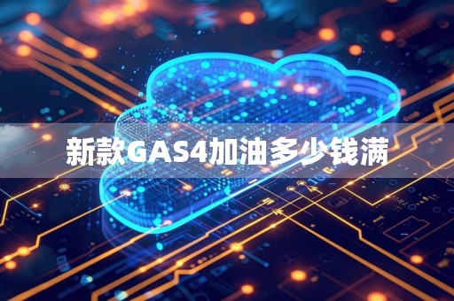 新款GAS4加油多少钱满