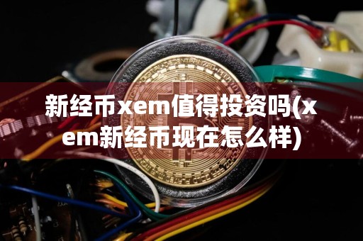 新经币xem值得投资吗(xem新经币现在怎么样)