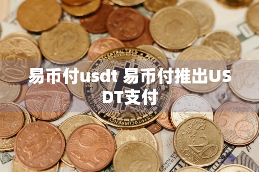 易币付usdt 易币付推出USDT支付