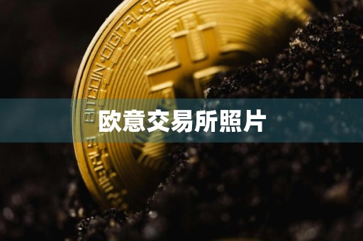 欧意交易所照片