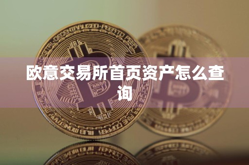 欧意交易所首页资产怎么查询