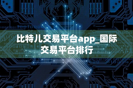 比特儿交易平台app_国际交易平台排行