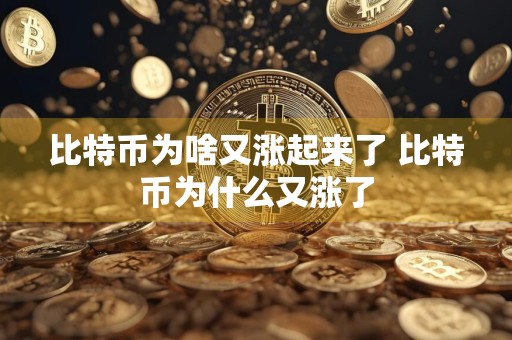 比特币为啥又涨起来了 比特币为什么又涨了