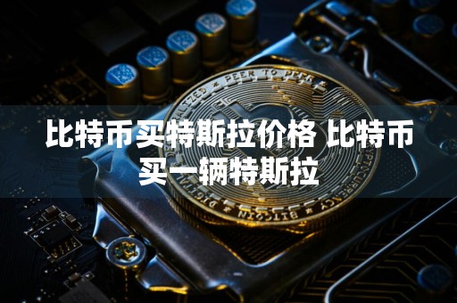 比特币买特斯拉价格 比特币买一辆特斯拉