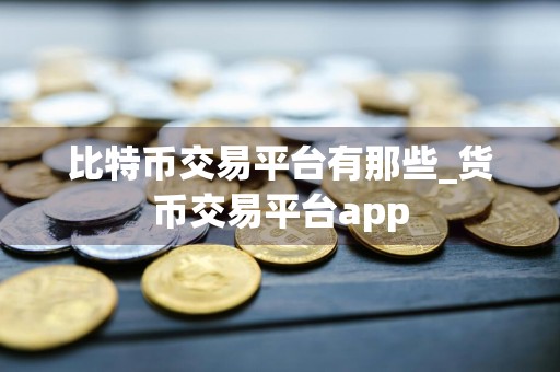 比特币交易平台有那些_货币交易平台app