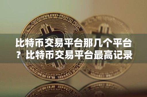 比特币交易平台那几个平台？比特币交易平台最高记录