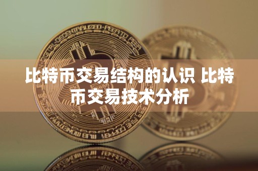 比特币交易结构的认识 比特币交易技术分析