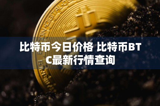 比特币今日价格 比特币BTC最新行情查询