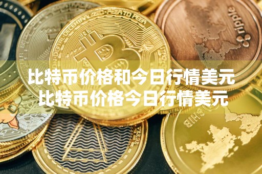 比特币价格和今日行情美元 比特币价格今日行情美元昨晚