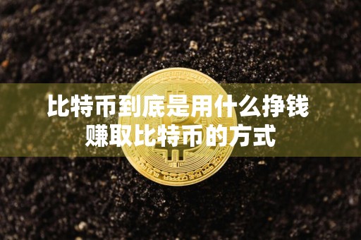 比特币到底是用什么挣钱 赚取比特币的方式