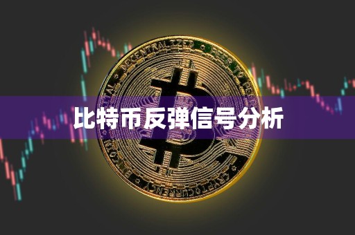 比特币反弹信号分析