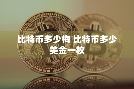 比特币多少梅 比特币多少美金一枚