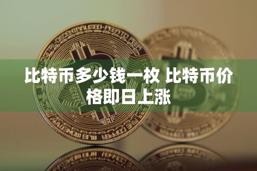 比特币多少钱一枚 比特币价格即日上涨