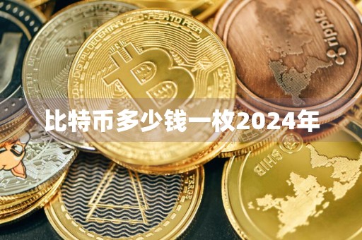 比特币多少钱一枚2024年