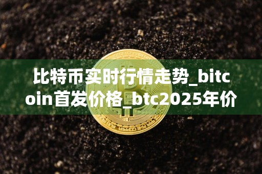 比特币实时行情走势_bitcoin首发价格_btc2025年价格