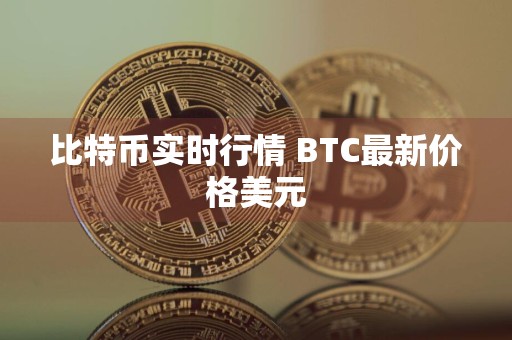 比特币实时行情 BTC最新价格美元