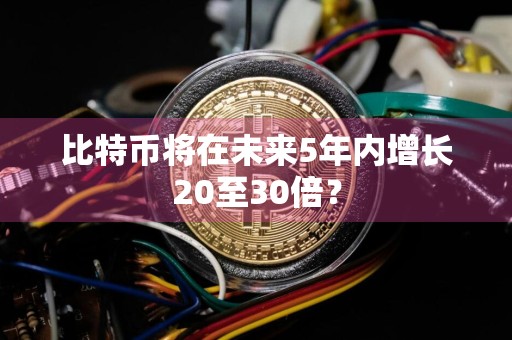 比特币将在未来5年内增长20至30倍？