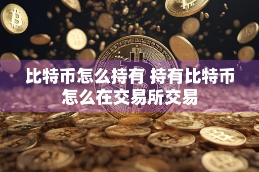 比特币怎么持有 持有比特币怎么在交易所交易