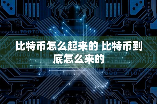 比特币怎么起来的 比特币到底怎么来的