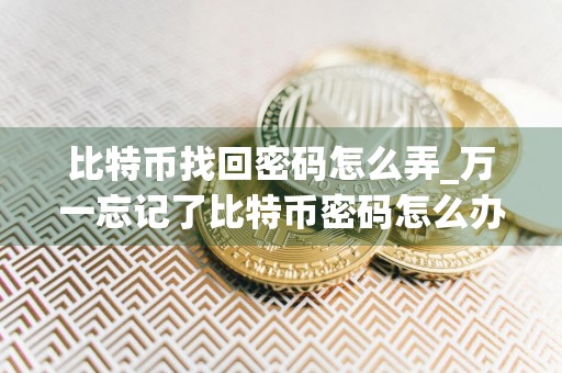 比特币找回密码怎么弄_万一忘记了比特币密码怎么办