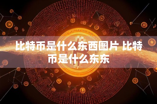 比特币是什么东西图片 比特币是什么东东