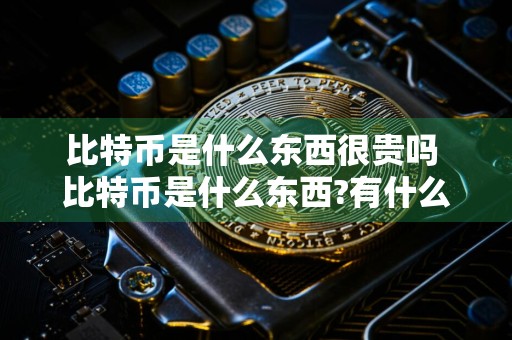 比特币是什么东西很贵吗 比特币是什么东西?有什么用?