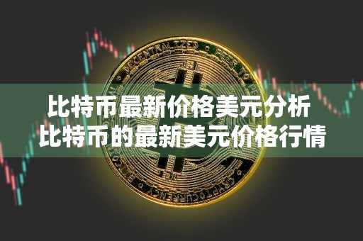 比特币最新价格美元分析 比特币的最新美元价格行情