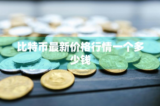 比特币最新价格行情一个多少钱