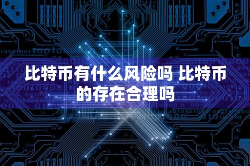 比特币有什么风险吗 比特币的存在合理吗