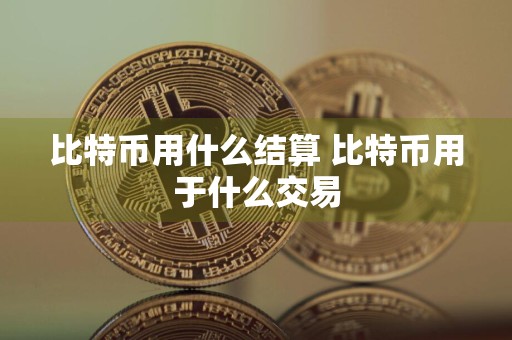 比特币用什么结算 比特币用于什么交易