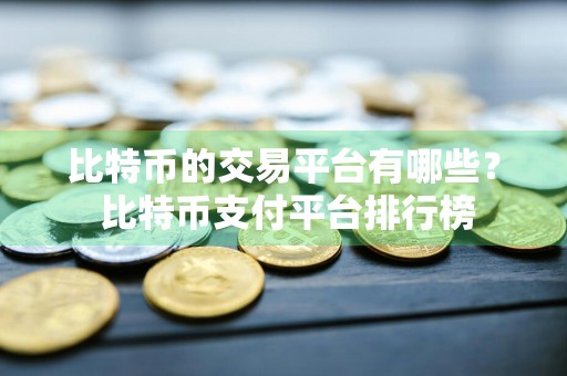 比特币的交易平台有哪些？ 比特币支付平台排行榜