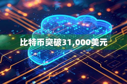 比特币突破31,000美元