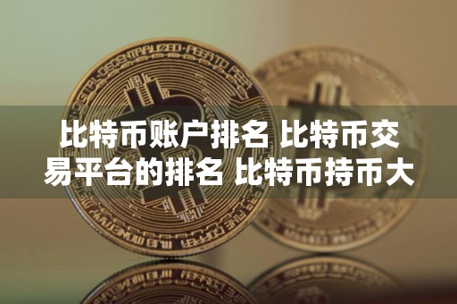 比特币账户排名 比特币交易平台的排名 比特币持币大户排行