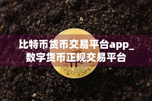 比特币货币交易平台app_数字货币正规交易平台