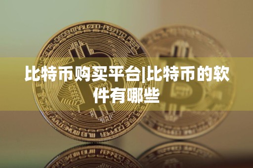 比特币购买平台|比特币的软件有哪些