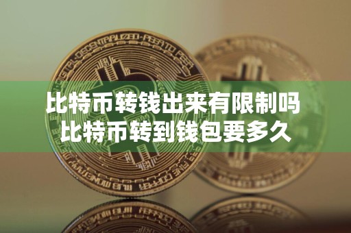 比特币转钱出来有限制吗 比特币转到钱包要多久