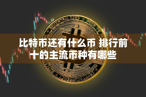 比特币还有什么币 排行前十的主流币种有哪些